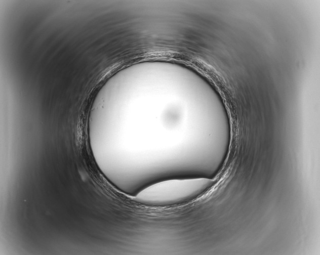 X0000093741401200710160740