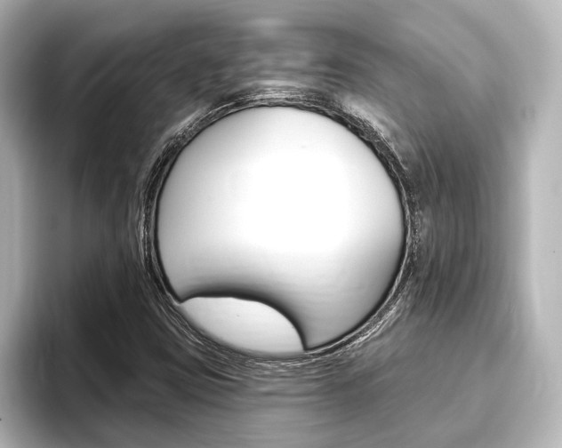 X0000093741403200710160740