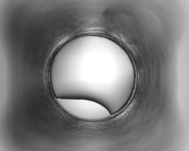 X0000093741405200710160740