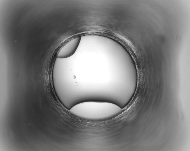 X0000093741407200710160740