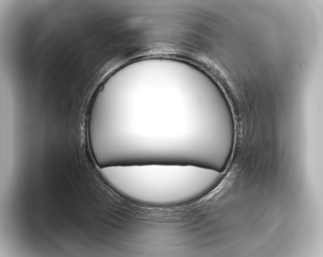 X0000093741409200710160740