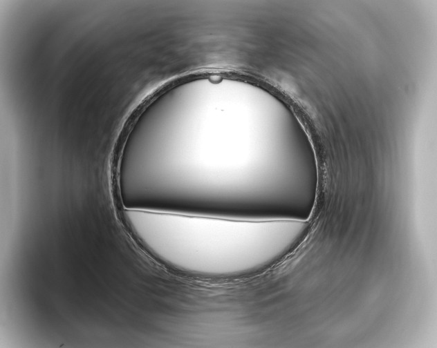 X0000093741412200710160740
