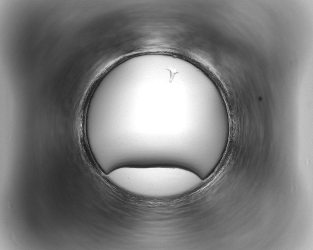 X0000093741415200710160741