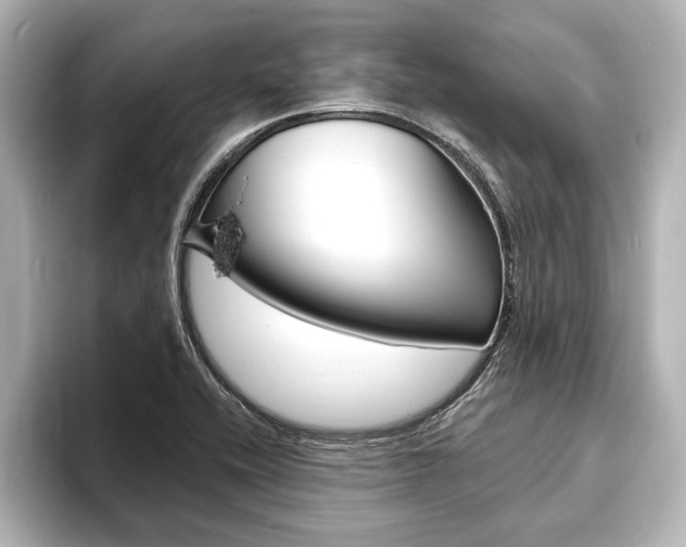 X0000093741416200710160741