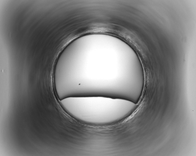 X0000093741417200710160741
