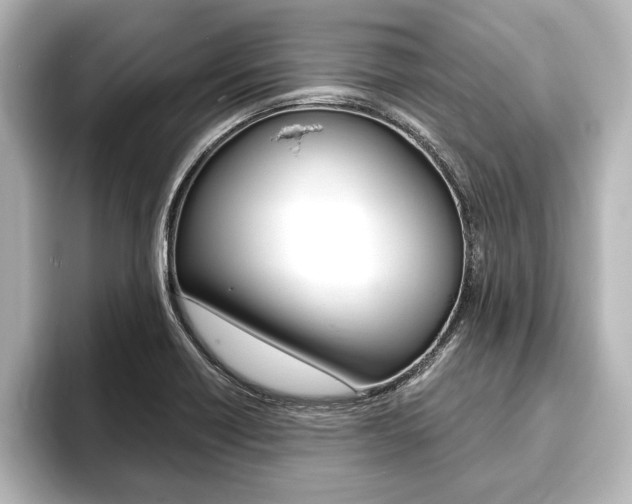 X0000093741418200710160741