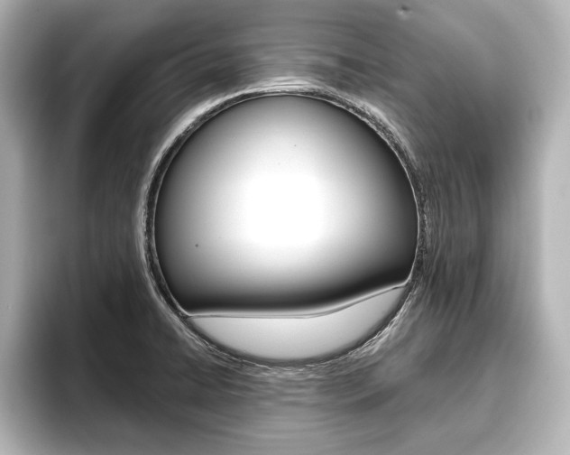 X0000093741422200710160741