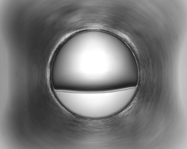 X0000093741424200710160741