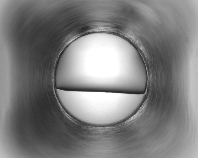 X0000093741425200710160741