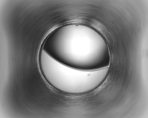 X0000093741426200710160741