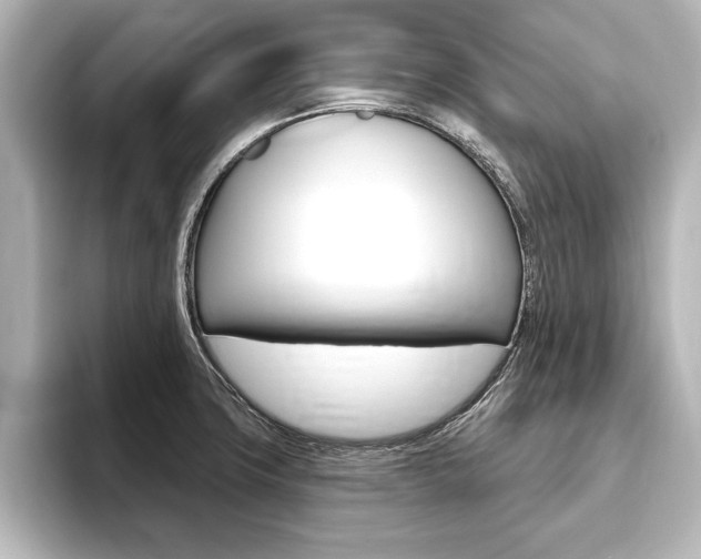 X0000093741427200710160741