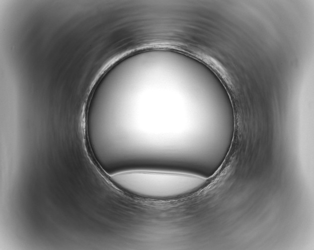 X0000093741428200710160741