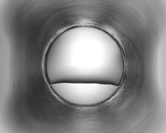 X0000093741429200710160741