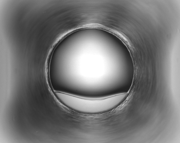 X0000093741430200710160741