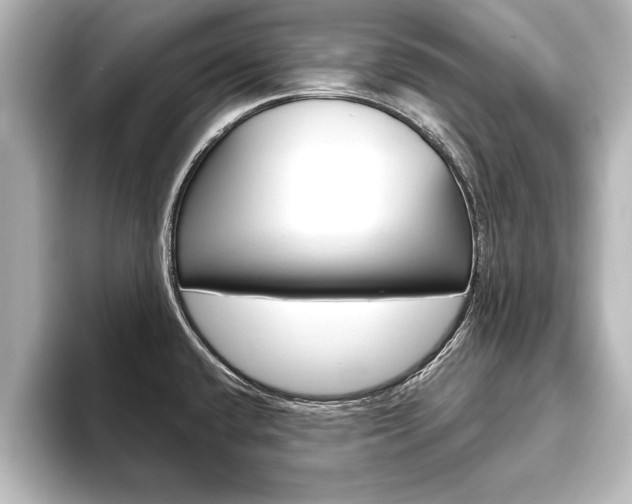X0000093741432200710160741