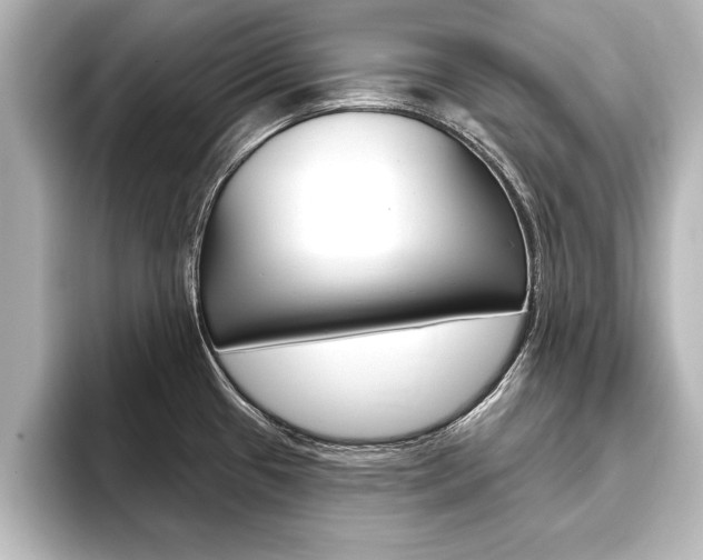 X0000093741433200710160741
