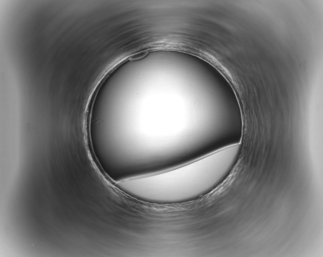 X0000093741434200710160741