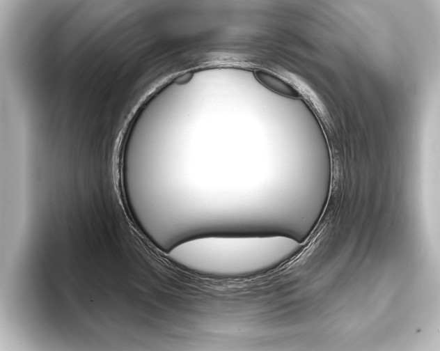 X0000093741435200710160741