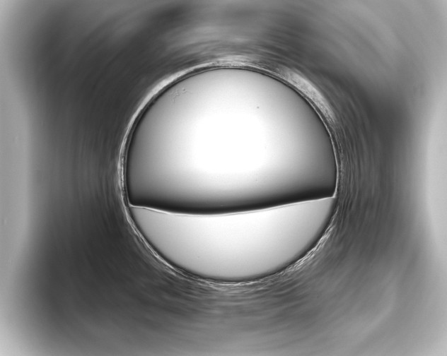 X0000093741436200710160741