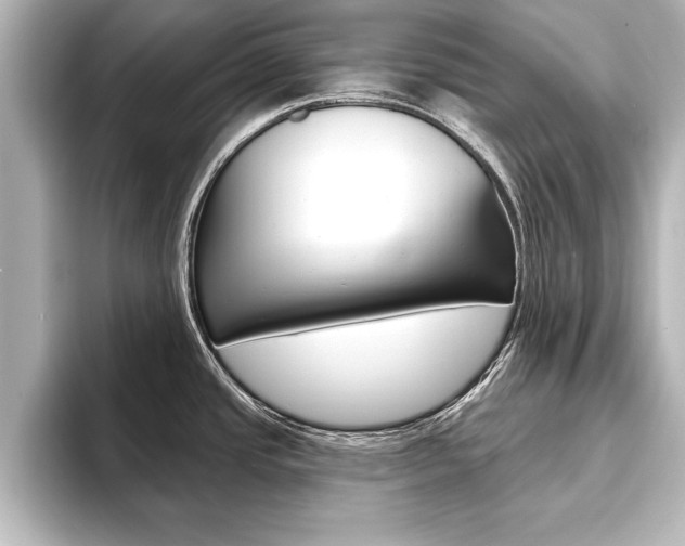 X0000093741437200710160741