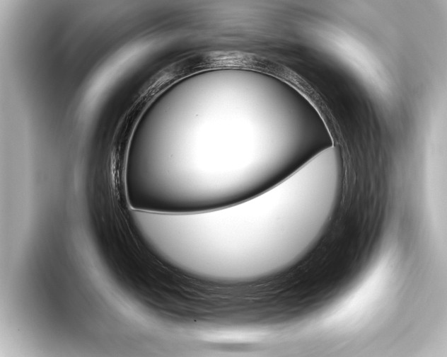 X0000093741438200710160741