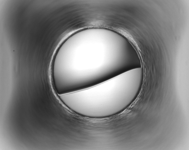 X0000093741440200710160741