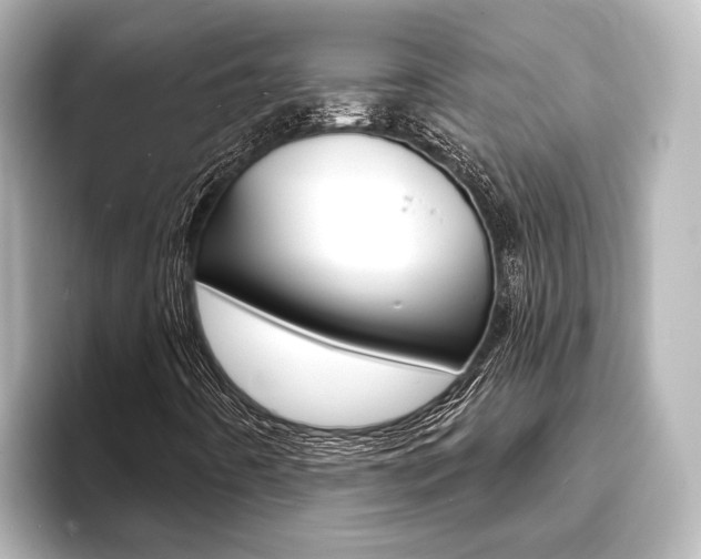 X0000093741442200710160740
