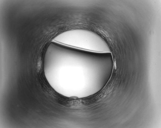 X0000093741444200710160740
