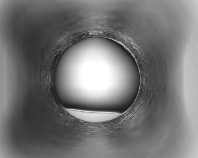 X0000093741445200710160740