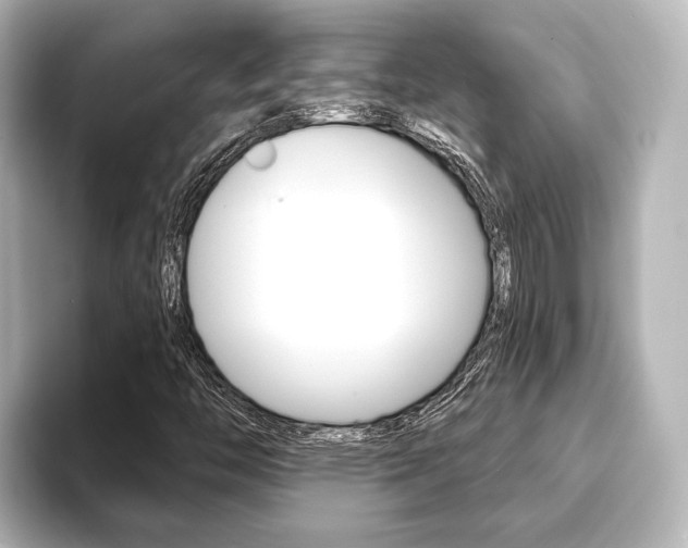 X0000093741446200710160740