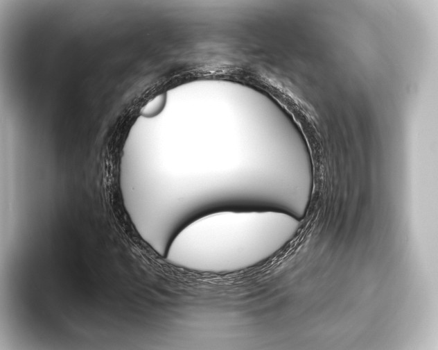 X0000093741447200710160740