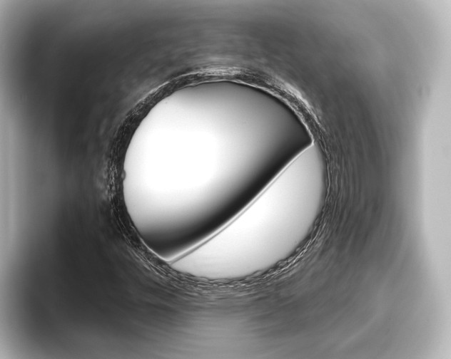 X0000093741448200710160740