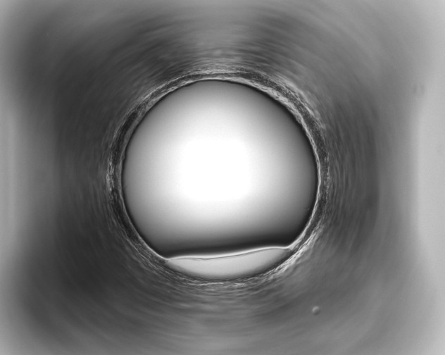 X0000093741449200710160740