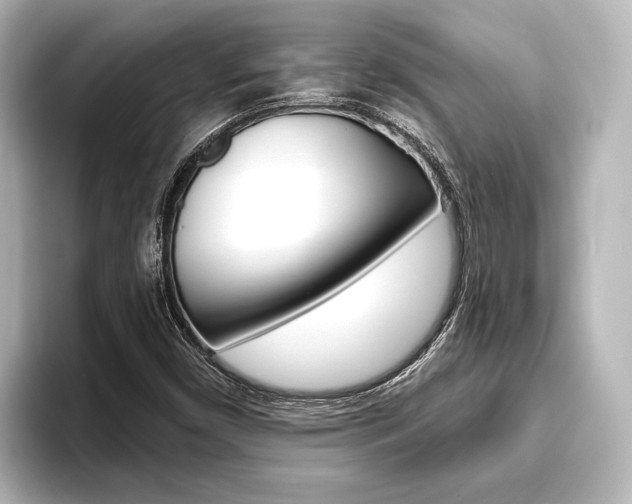 X0000093741450200710160740