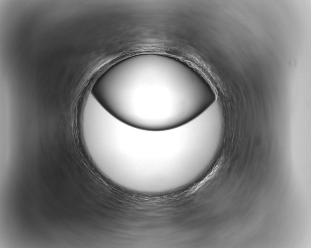 X0000093741453200710160740