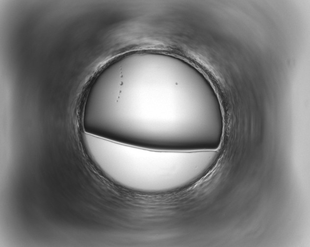 X0000093741455200710160740