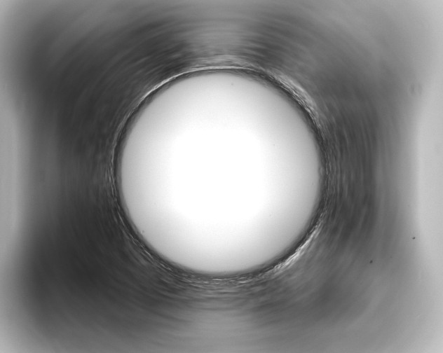 X0000093741457200710160740