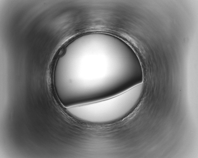 X0000093741458200710160740