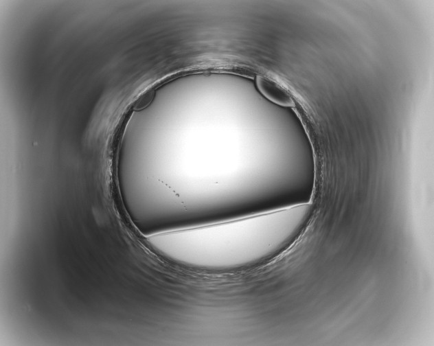 X0000093741459200710160740