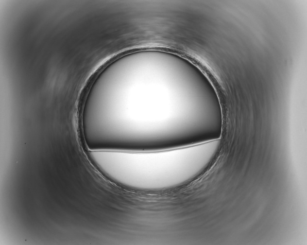 X0000093741460200710160740