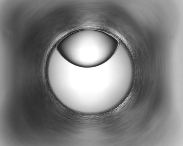 X0000093741461200710160740