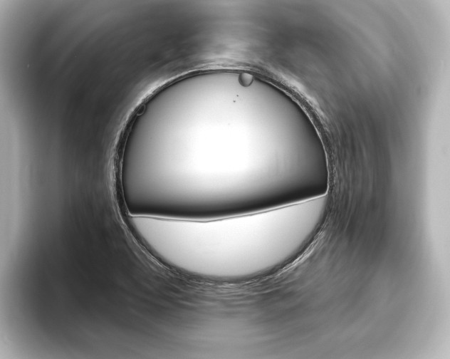X0000093741463200710160740