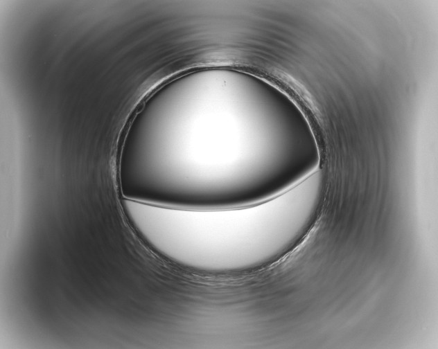 X0000093741465200710160740