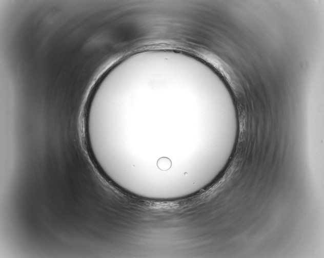 X0000093741466200710160740