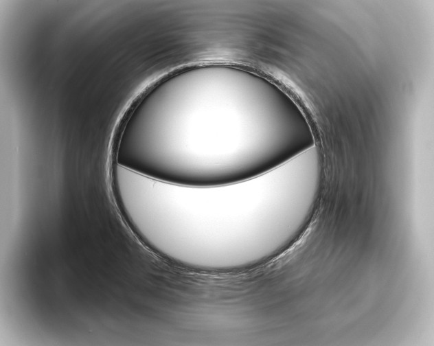 X0000093741469200710160740