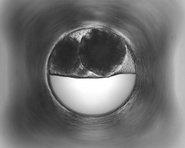 X0000093741471200710160740