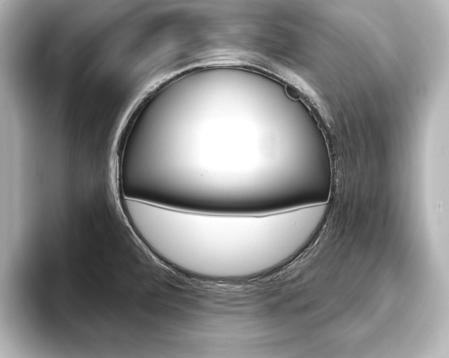 X0000093741472200710160740