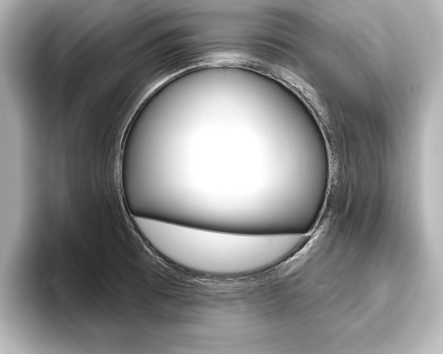 X0000093741473200710160740