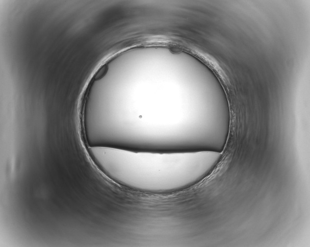 X0000093741475200710160740