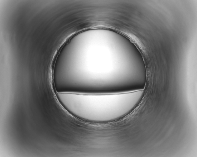 X0000093741476200710160740
